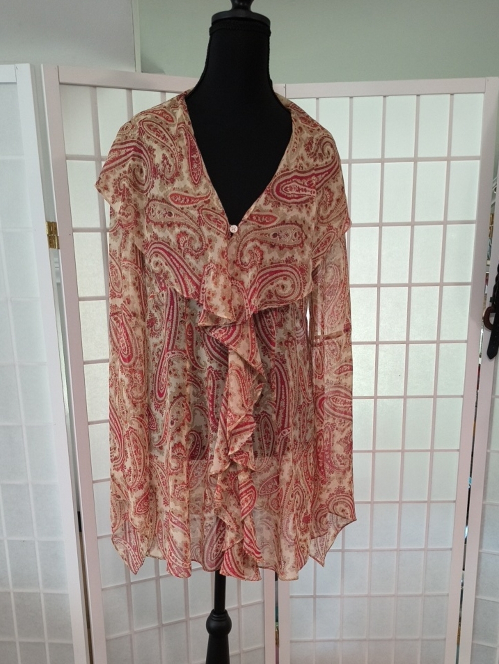 Vintage Express Silk Chiffon Ruffle Boho Top L 11/12